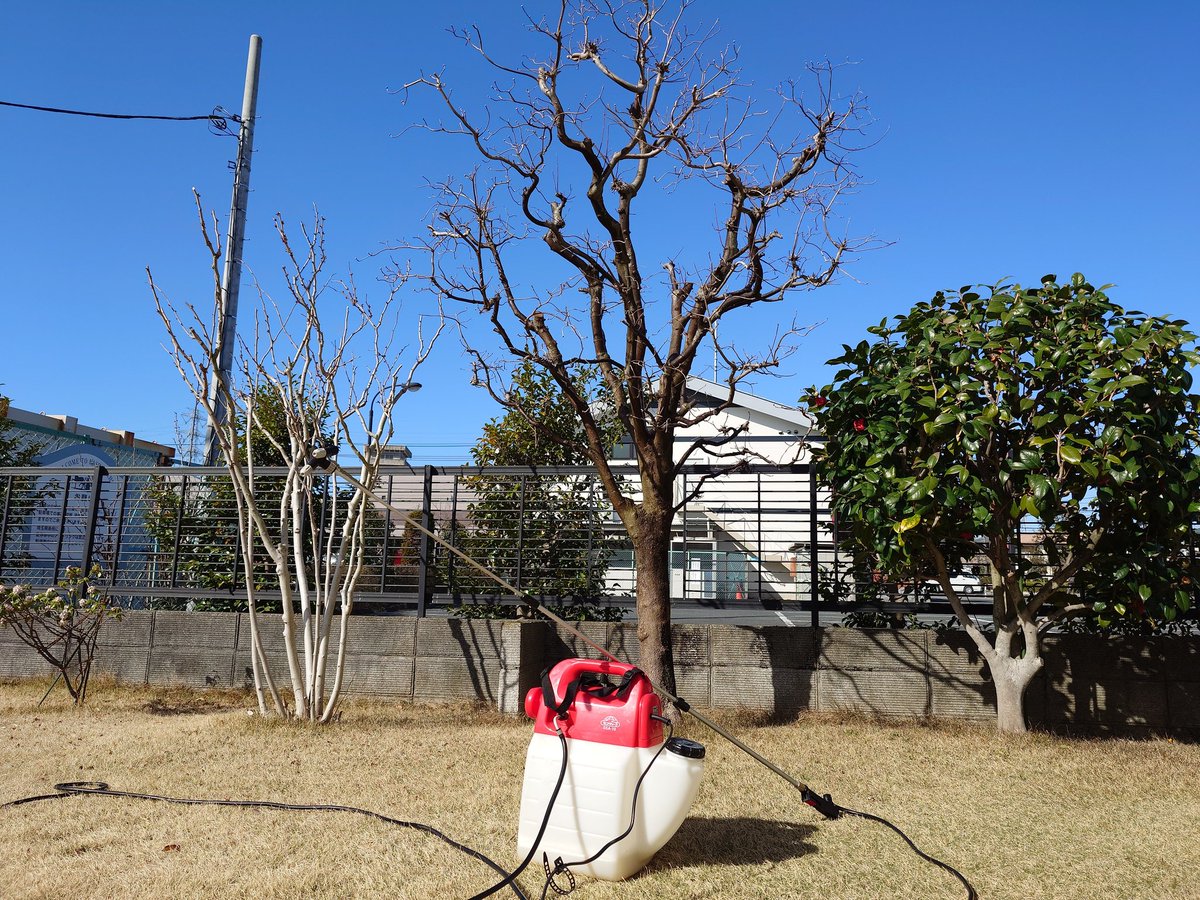 joe_1400GTR's tweet photo. 桃と花水木の開花前の殺菌剤散布
ムスカリと沈丁花は咲きました😊
#ガーデニング #Gardening #芝刈倶楽部 #ハスクバーナ #husqvarna #Automower https://t.co/omGWvBZsjf