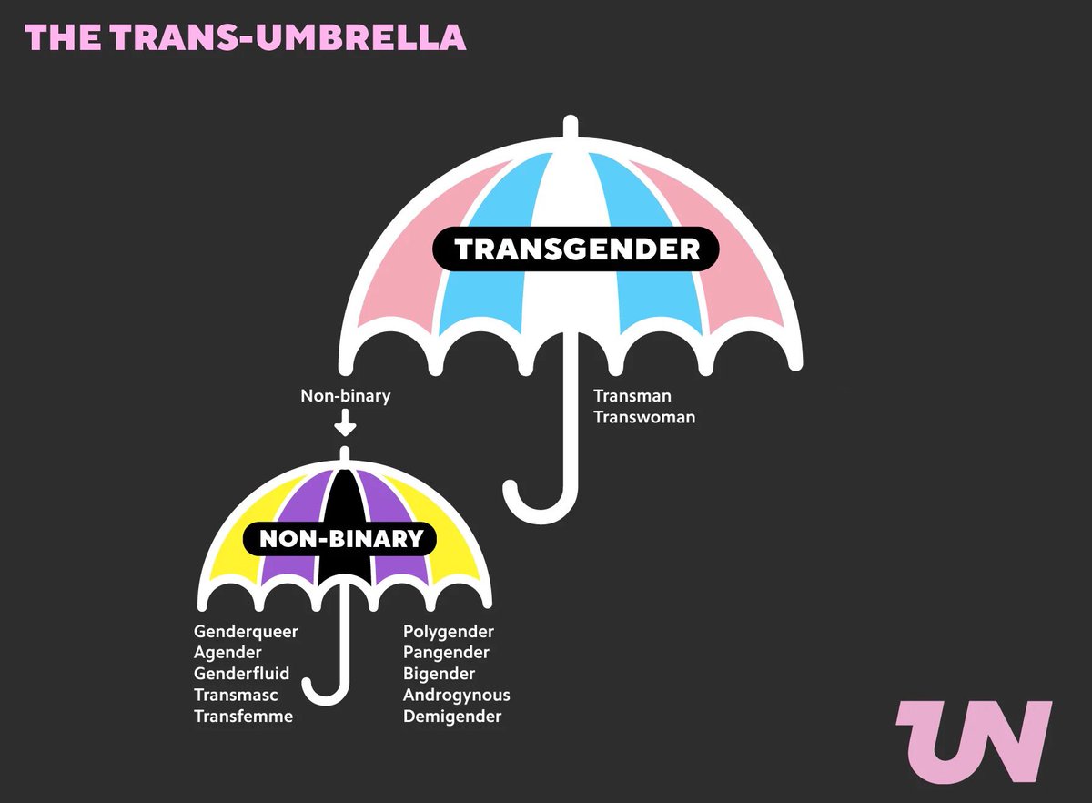 kandi (शिखण्डी) 🐾 tweet media