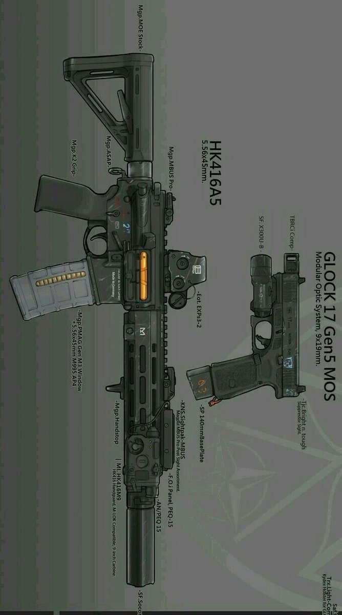 Gun Fanatics tweet media