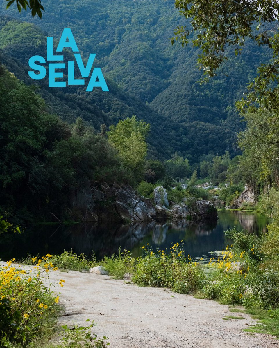 Turisme La Selva tweet media