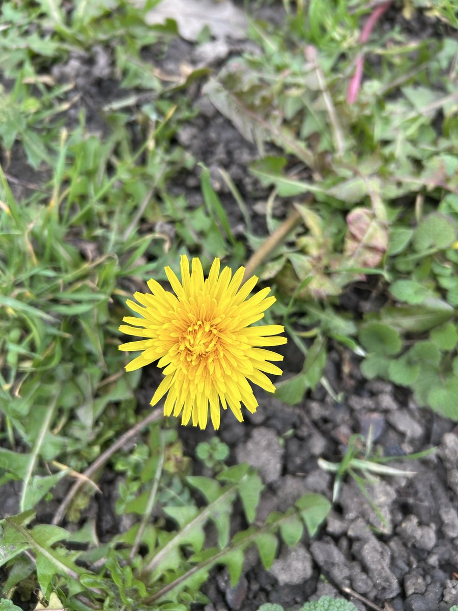 Living with Autism in Bedford tweet media