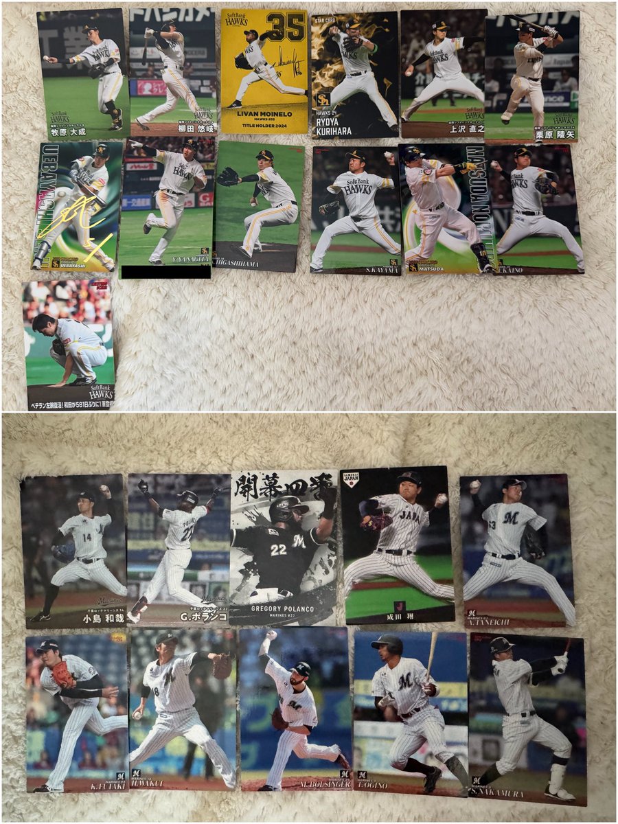 にゃんこ tweet media