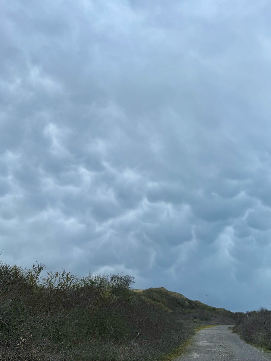 cris 59279 tweet media