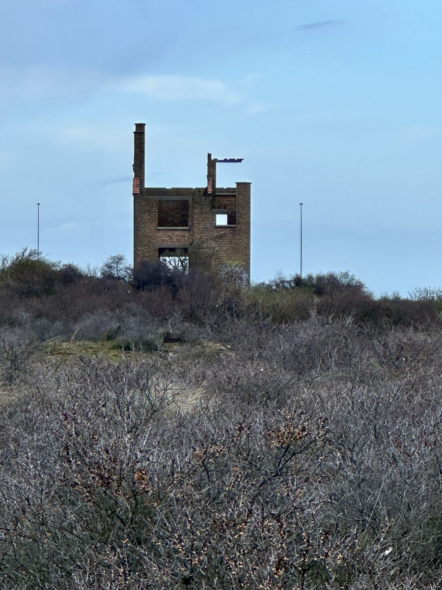 cris 59279 tweet media