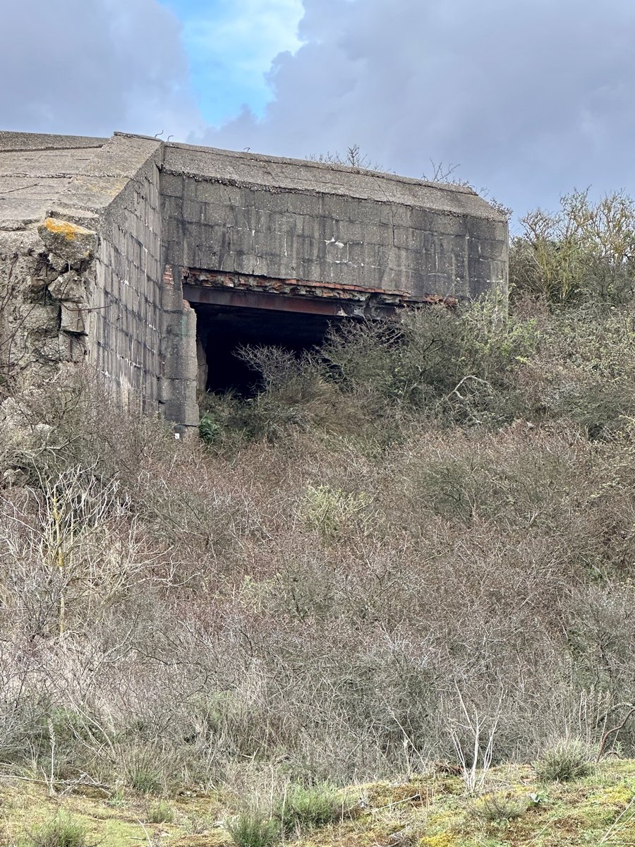 cris 59279 tweet media