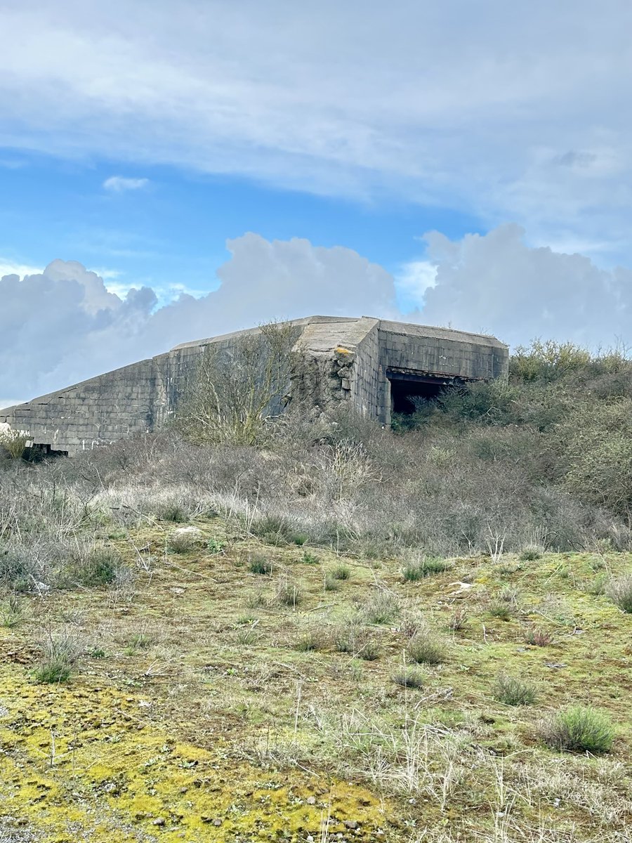 cris 59279 tweet media