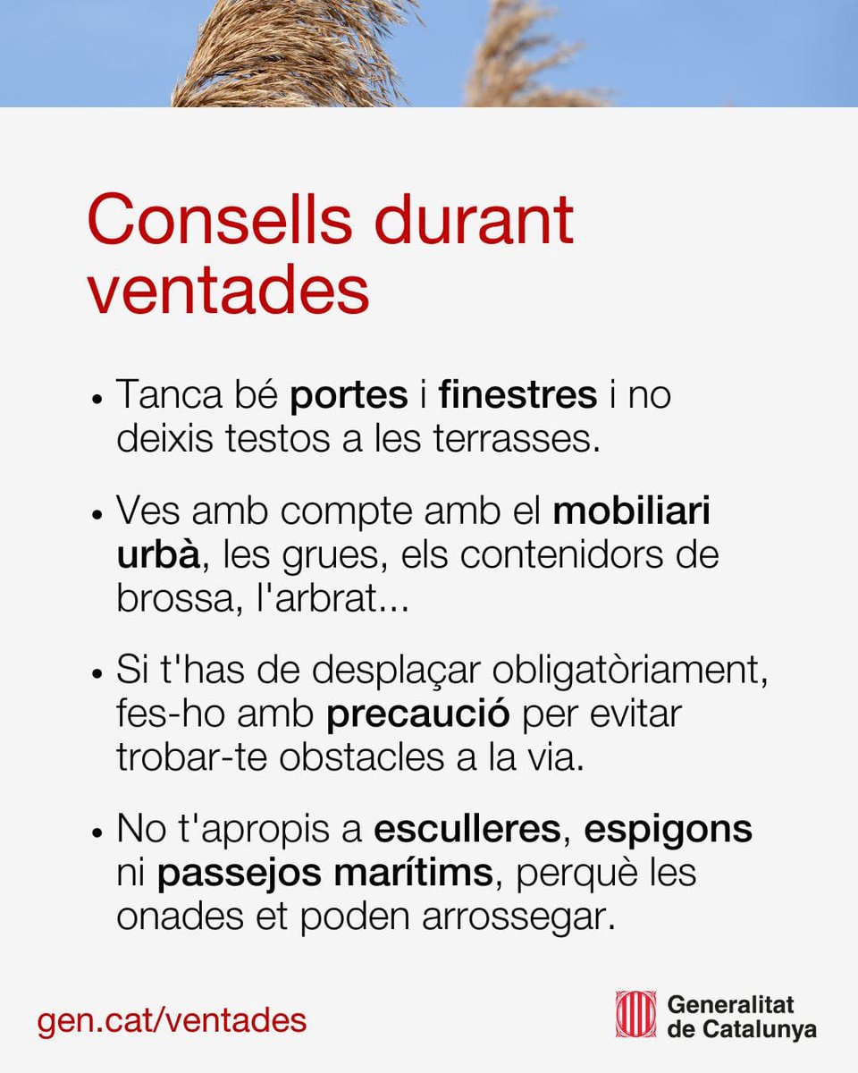 Ajuntament de Salt tweet media