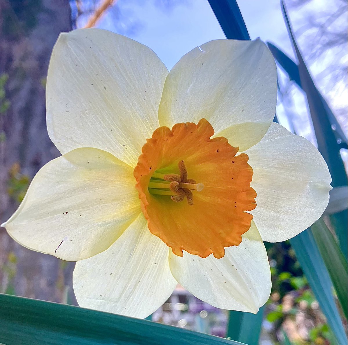 Beautiful Garden tweet media