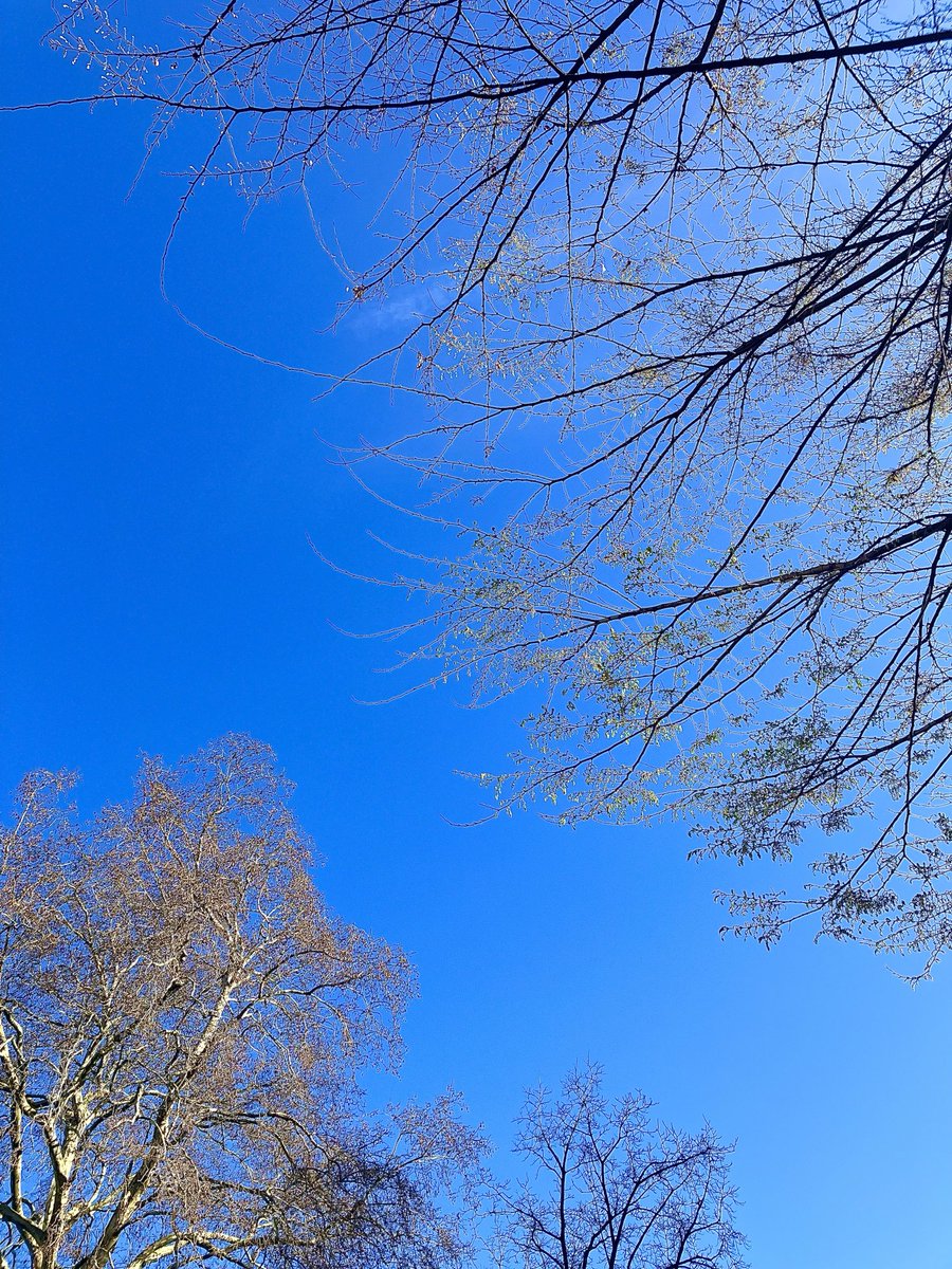 Beautiful Garden tweet media