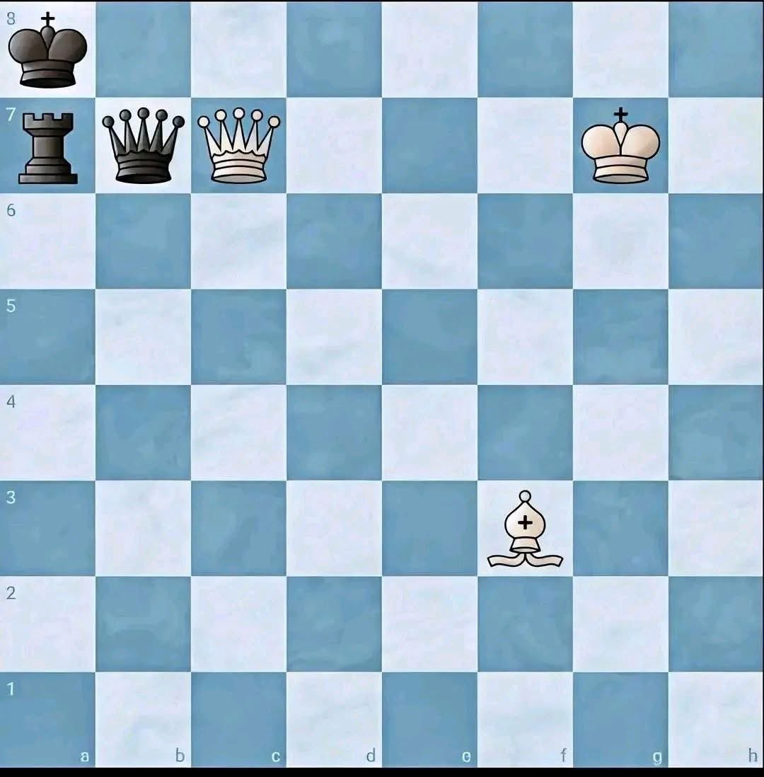 Chess Feed tweet media