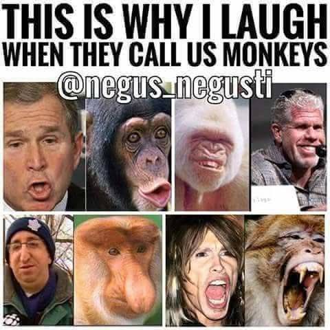 WE HAVE NO FRIENDS/BY ANY MEME NECESSARY tweet media