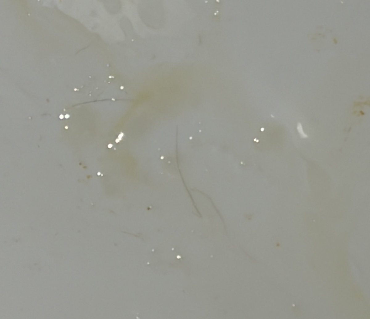 不喜甜 tweet media