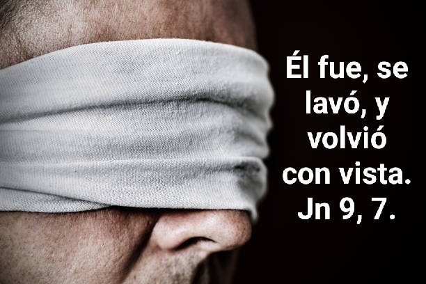 Orar con el evangelio tweet media