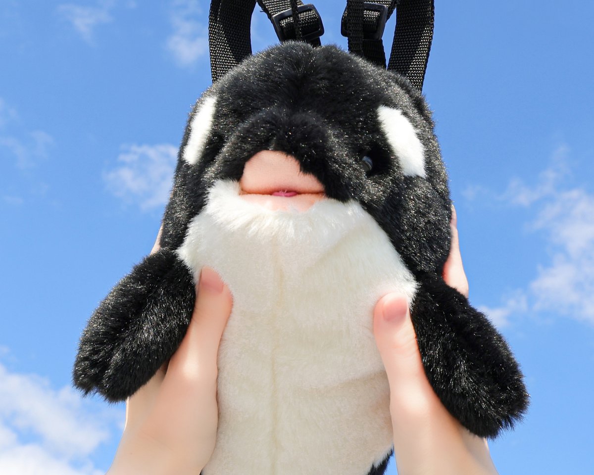 鴨川シーワールド【公式】 tweet media