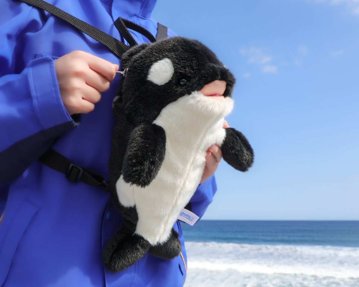 鴨川シーワールド【公式】 tweet media