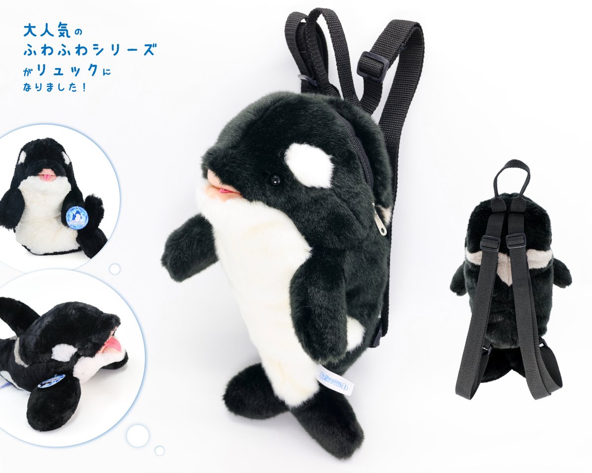 鴨川シーワールド【公式】 tweet media