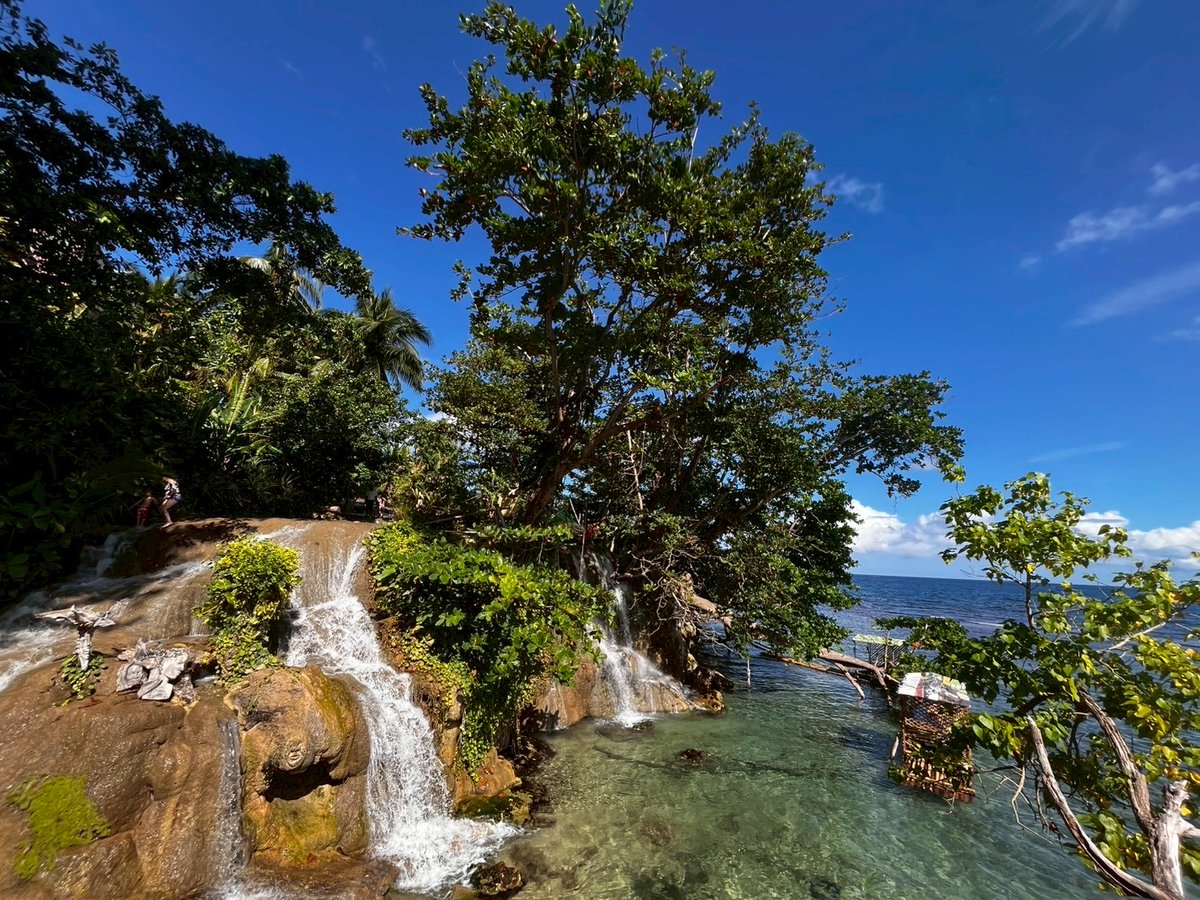 44cmy88's tweet photo. Little Dunn's River Beach🇯🇲
カナやんが素足で登ってた滝！私も素足で！全然滑らなくて気持ちよくどんどん上へ
カナやんが見たかった一番奥の景色は？
答えは3つデカい水管でしたｗ本当は近くに大きな滝があって、道路が横切るため、そこの水が水管通して小さな滝へ、そして海へ
海と滝同時に楽しめた https://t.co/sYBxYPeBCN