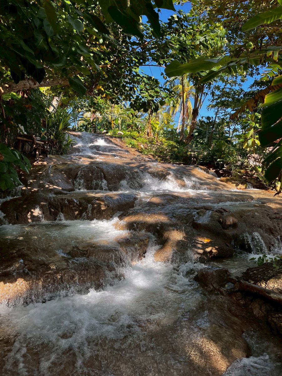 44cmy88's tweet photo. Little Dunn's River Beach🇯🇲
カナやんが素足で登ってた滝！私も素足で！全然滑らなくて気持ちよくどんどん上へ
カナやんが見たかった一番奥の景色は？
答えは3つデカい水管でしたｗ本当は近くに大きな滝があって、道路が横切るため、そこの水が水管通して小さな滝へ、そして海へ
海と滝同時に楽しめた https://t.co/sYBxYPeBCN