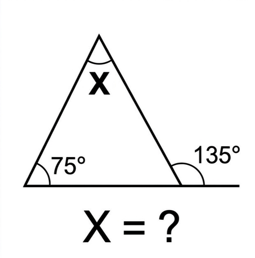 Brain IQ Test tweet media