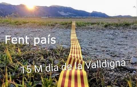 marinyen - valldigna ☆彡 tweet media