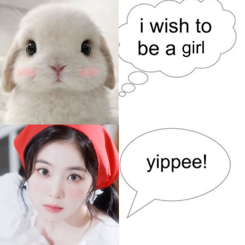 🐰💗