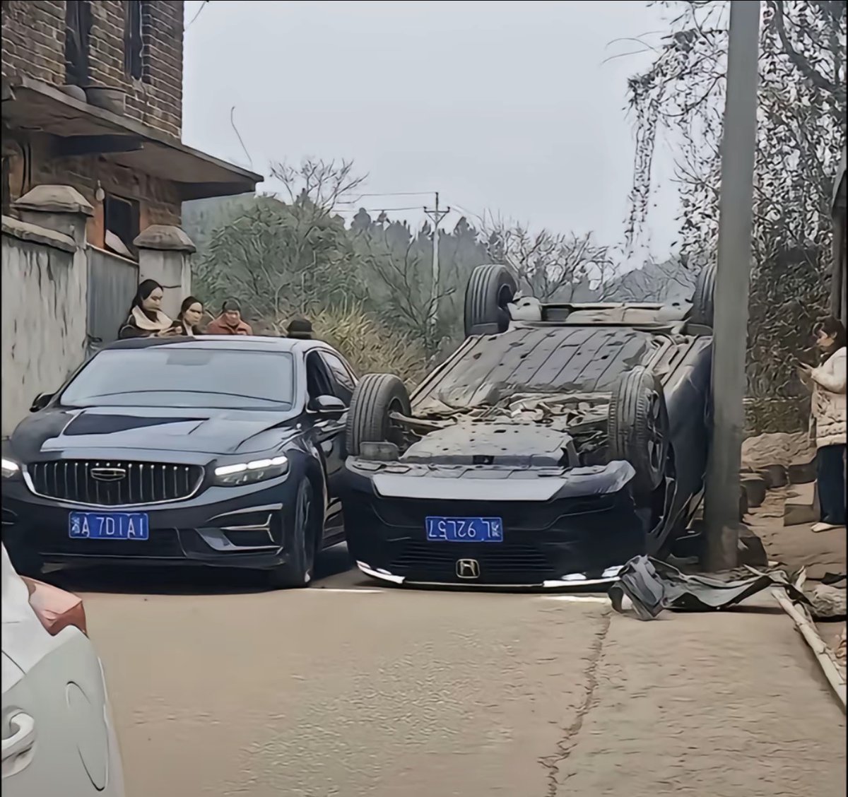 蜜桃团子🍑 tweet media