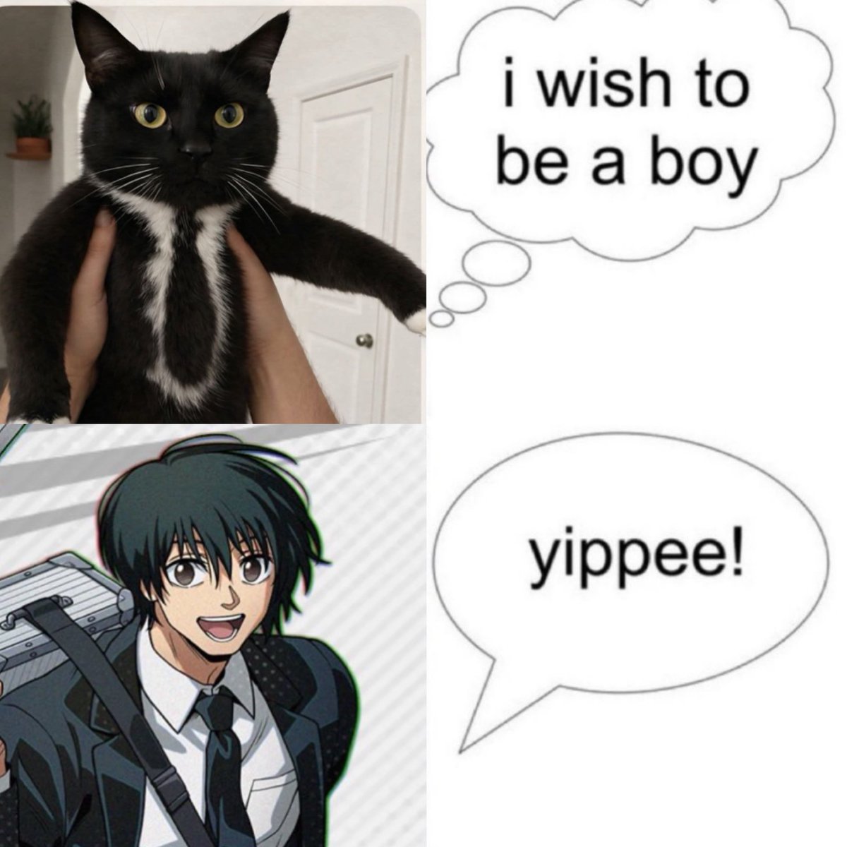 NAGUMEOW 🐾🐈‍⬛