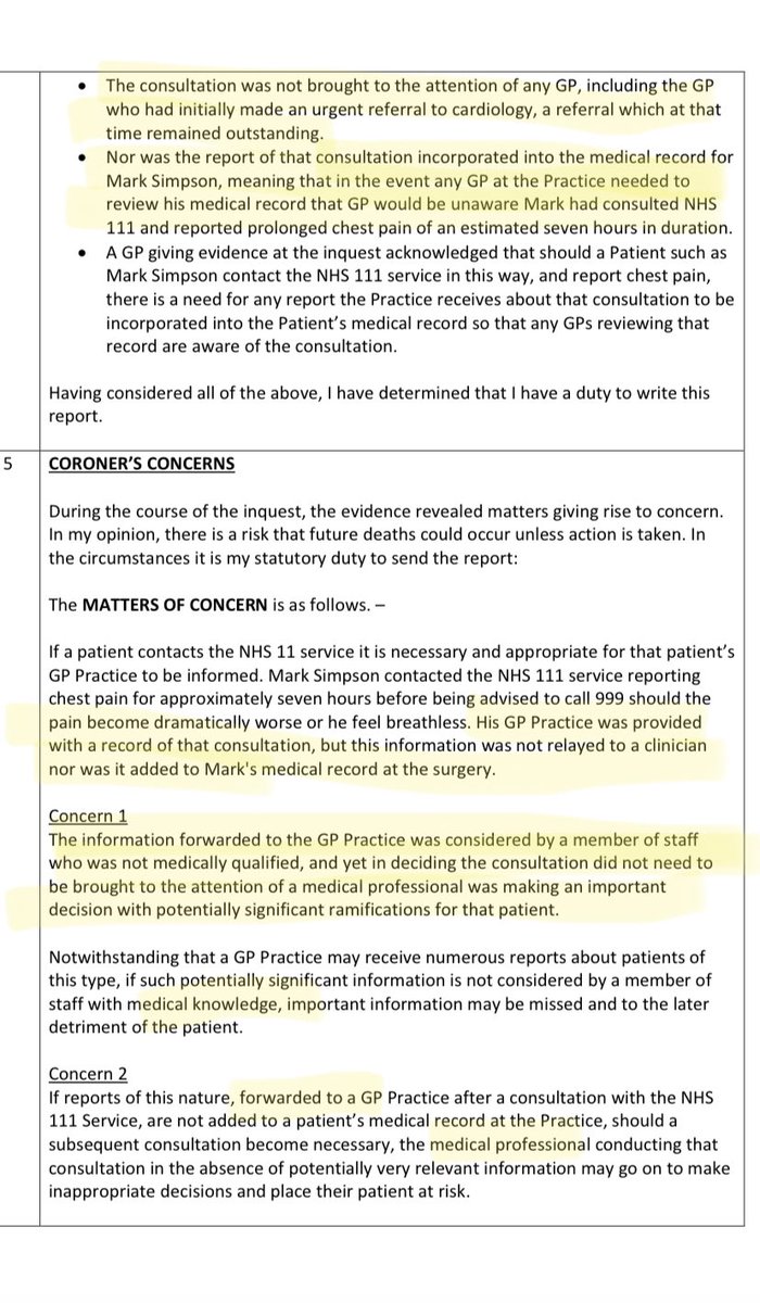 @medicalmodelwithabriochebun tweet media