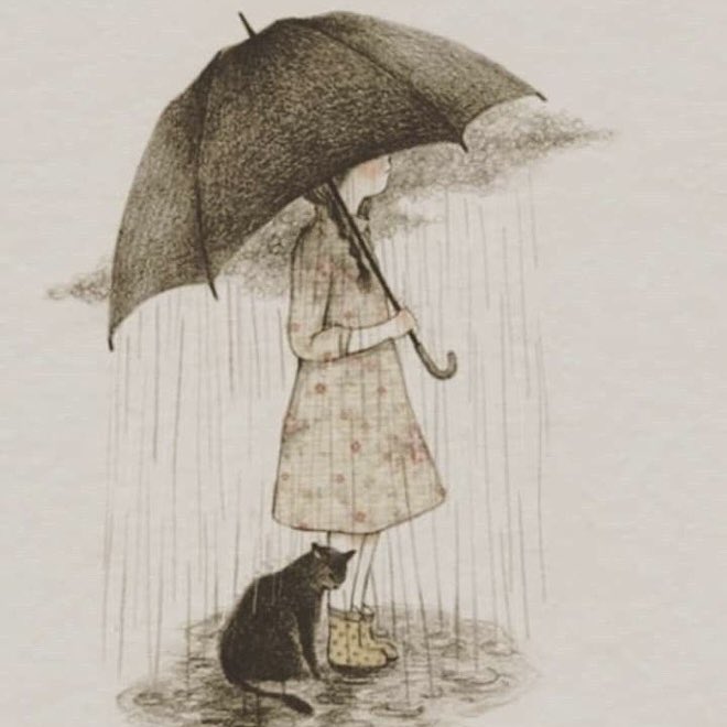 Rose🌸 tweet media