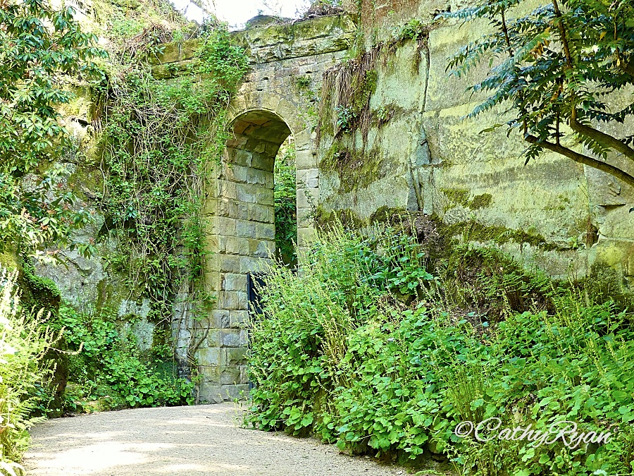 CathyRyan tweet media