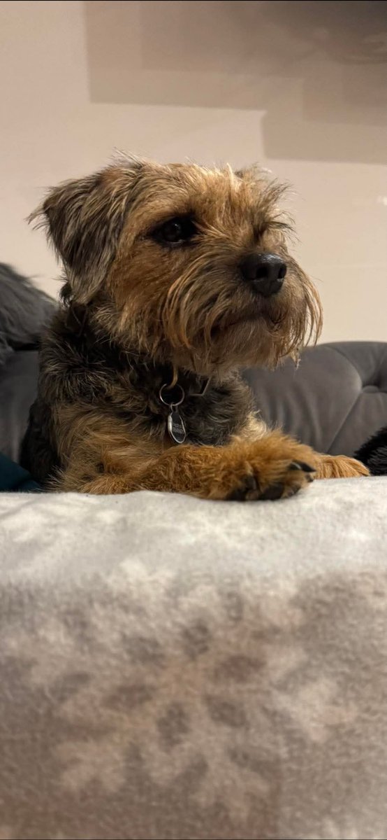Miss Scraggy Agnes tweet media