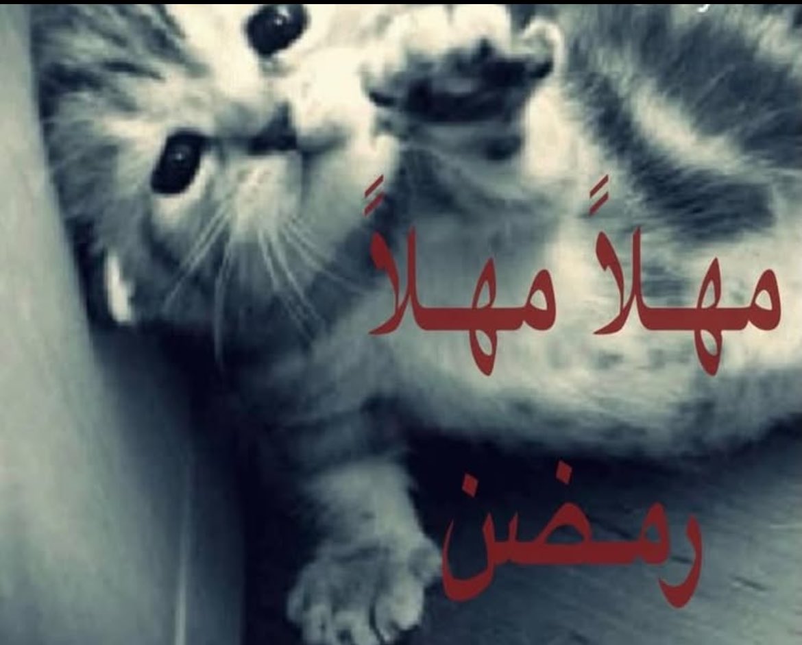 ًً (@ullln2) on Twitter photo 