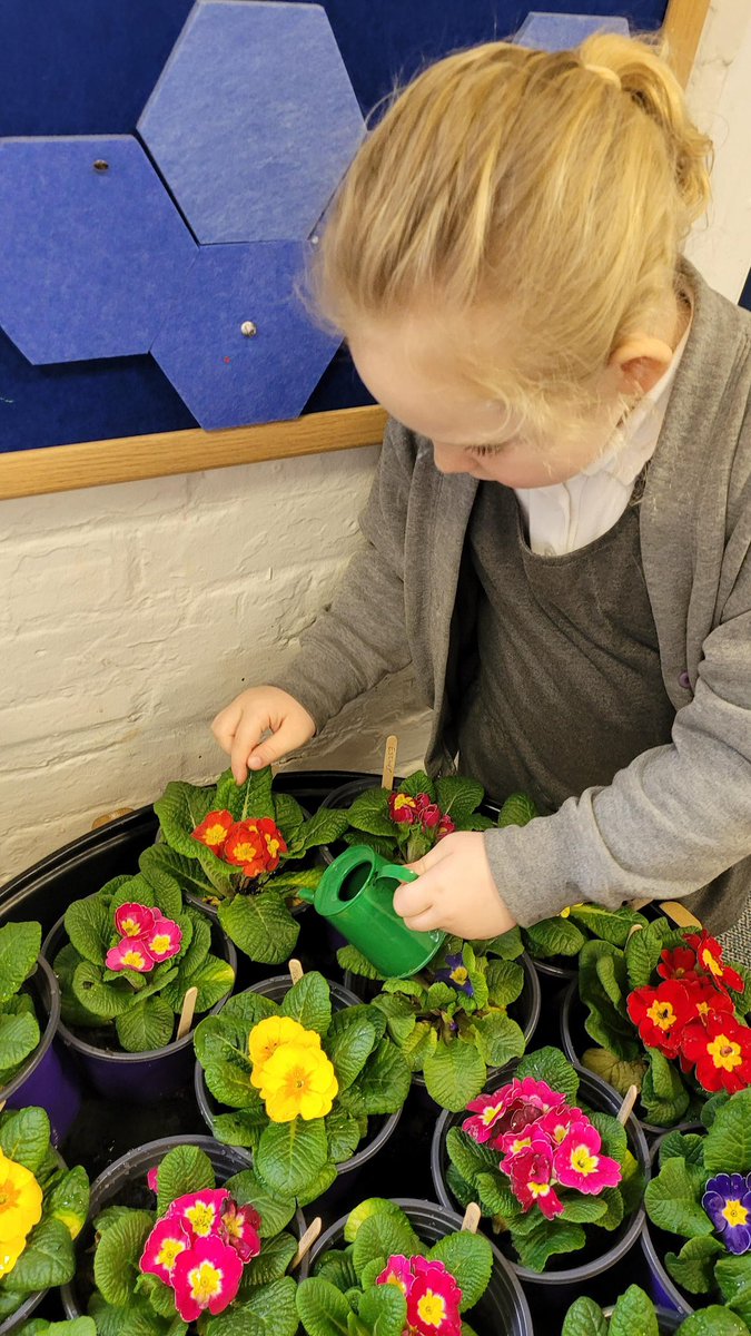 Finchingfield St John the Baptist C of E Academy tweet media