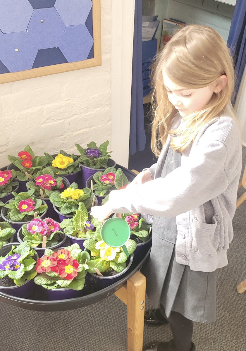 Finchingfield St John the Baptist C of E Academy tweet media