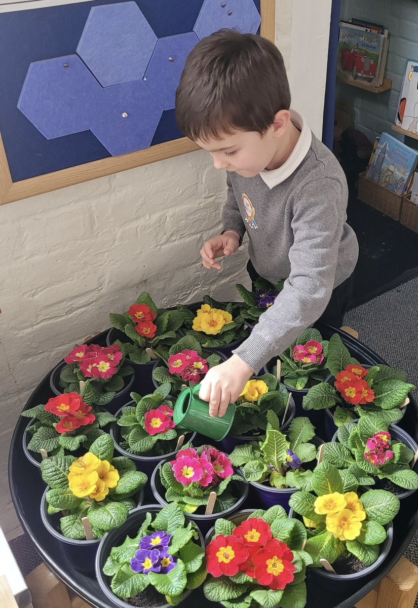 Finchingfield St John the Baptist C of E Academy tweet media