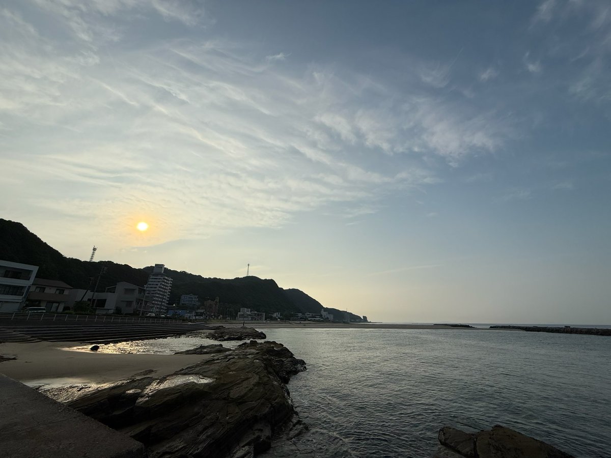 松井 恵理子 tweet media