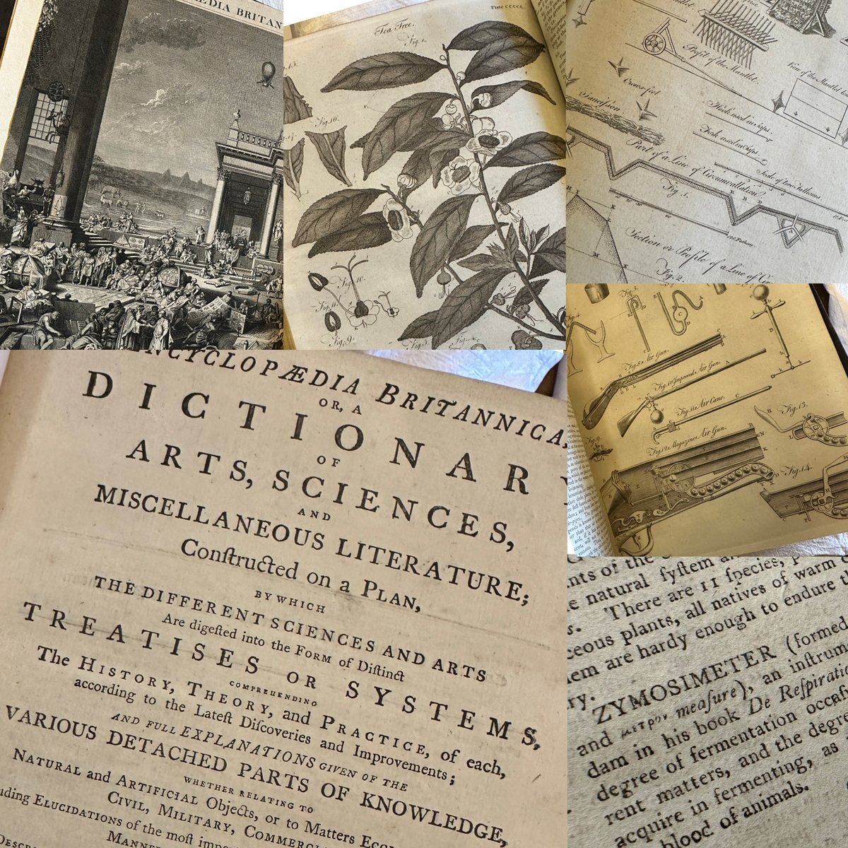 🏴 Leighton Library, Dunblane 📚 tweet media