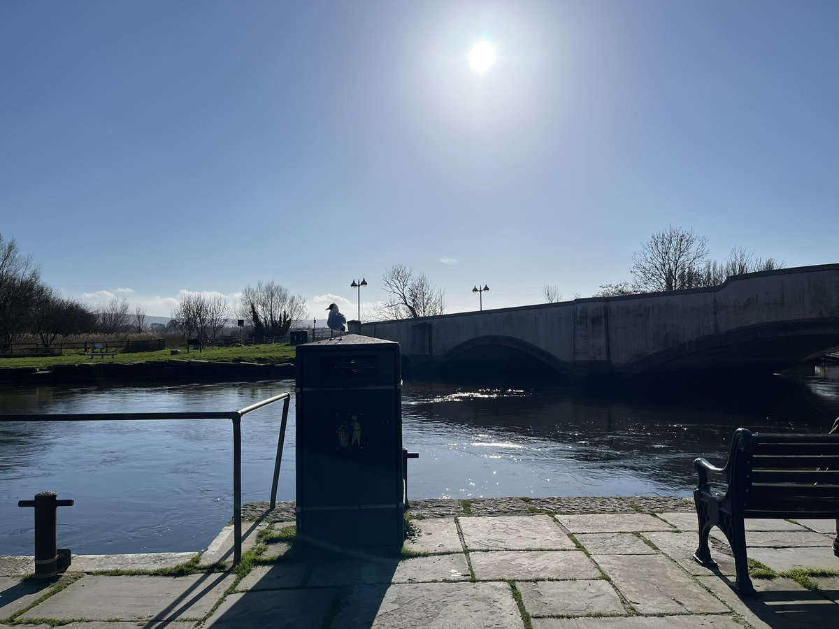 Annie Gilbert tweet media