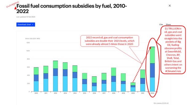 Sustainable Energy Botswana tweet media
