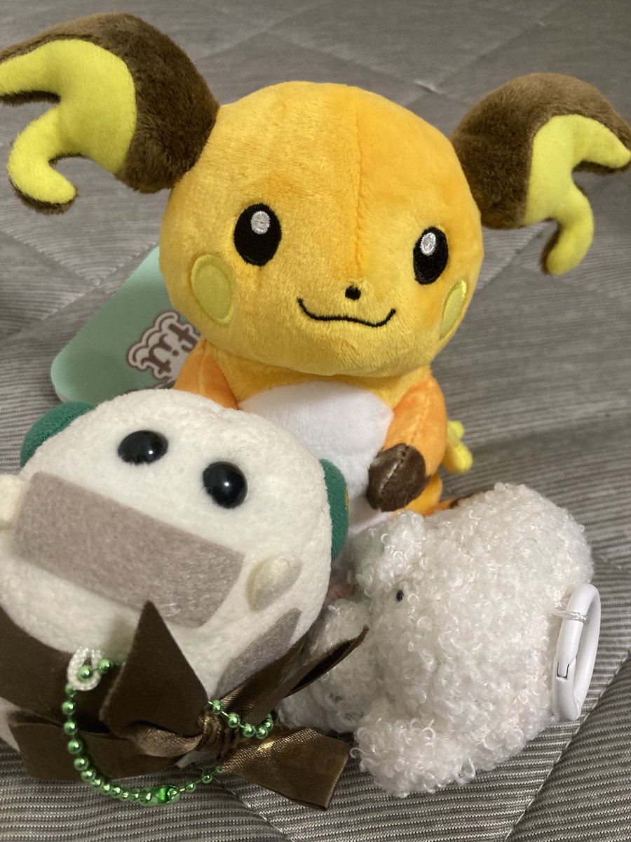 どどすけ tweet media