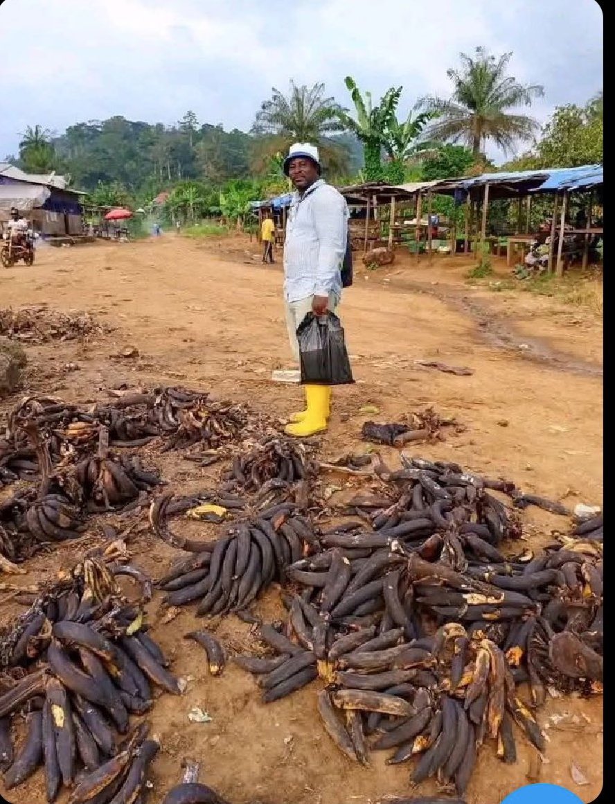 kaderkingpin91's tweet photo. @instablog9ja When you refuse to sell in the morning, you will beg buyers to buy in the evening. 

This post is not about plantain. https://t.co/R2hqElfc8E