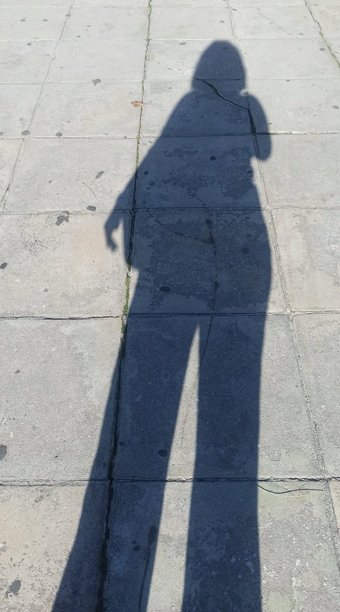 Theofania Mylonas tweet media