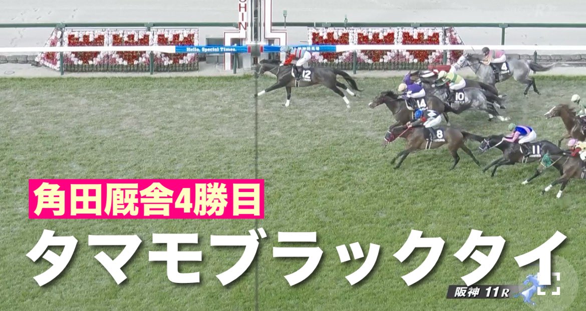 tenku0721's tweet photo. #角田厩舎 4勝目
阪神11R米子城ステークス
芝1200m
11番人気
#タマモブラックタイ
幸騎手

TEAMツノダのメンバーは
ちょっと期待してたはず！

幸さんやってくれちゃいましたね
コース取り、追い出しのタイミング満点！
メイン勝ちおめでとうございます

#角田晃一
#米子城S https://t.co/0iGFx5zD4R