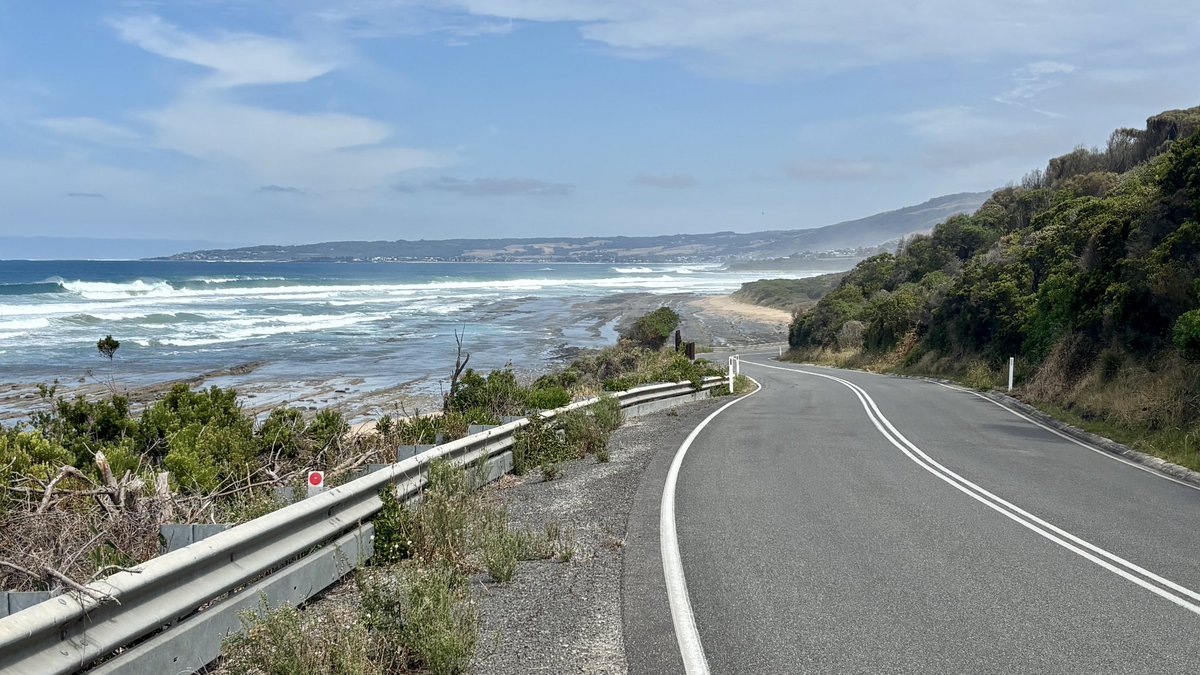 Snežana Radojičić tweet media