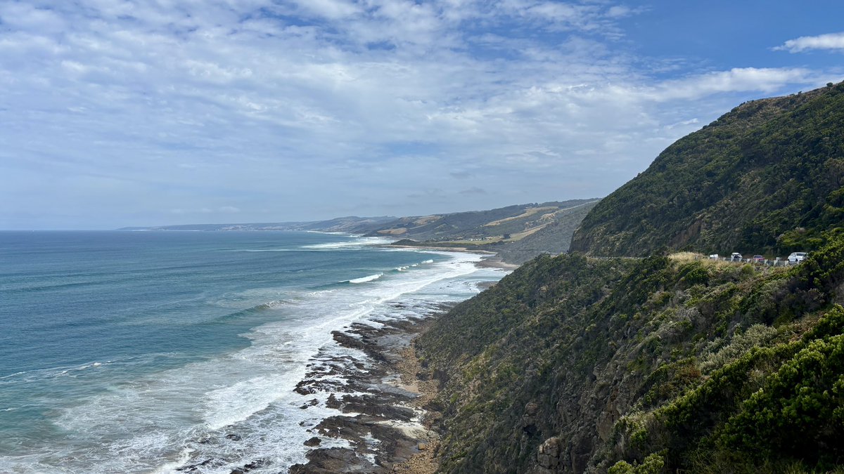 Snežana Radojičić tweet media