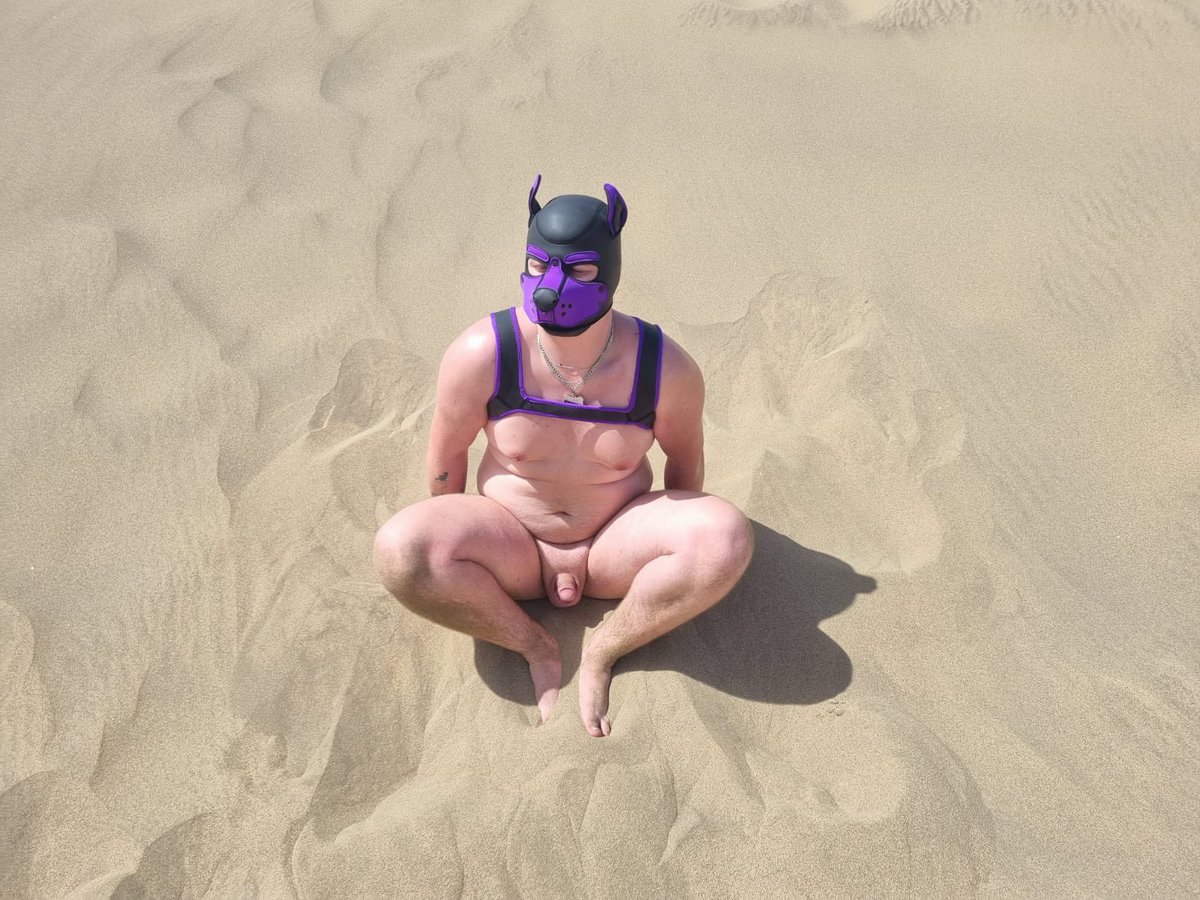 💜 Pup Cas 💜 tweet media