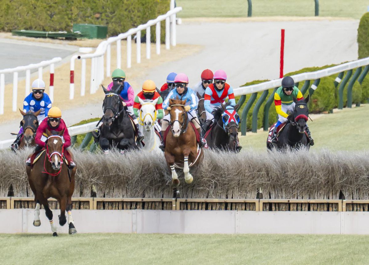 高田潤 tweet media