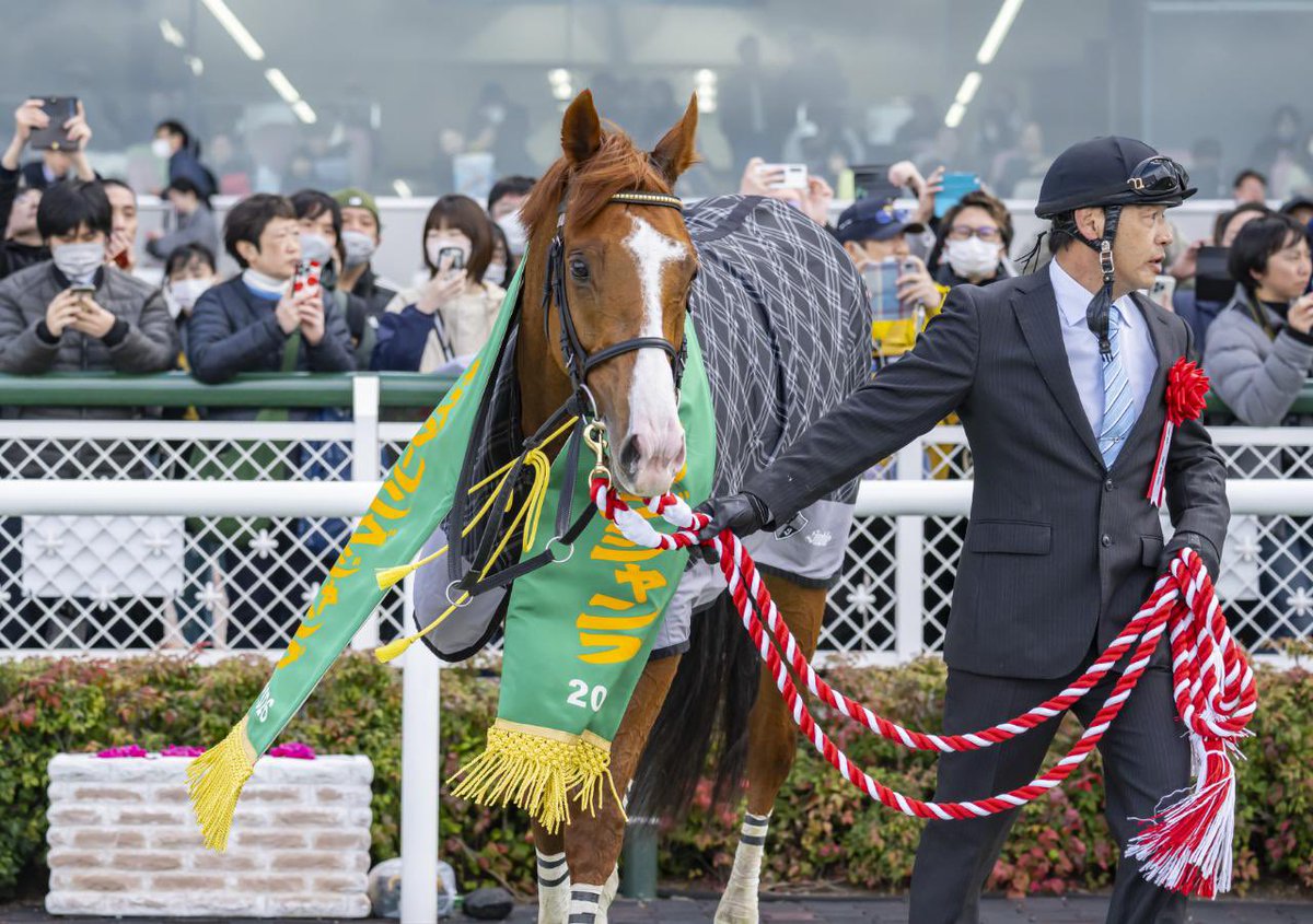 高田潤 tweet media