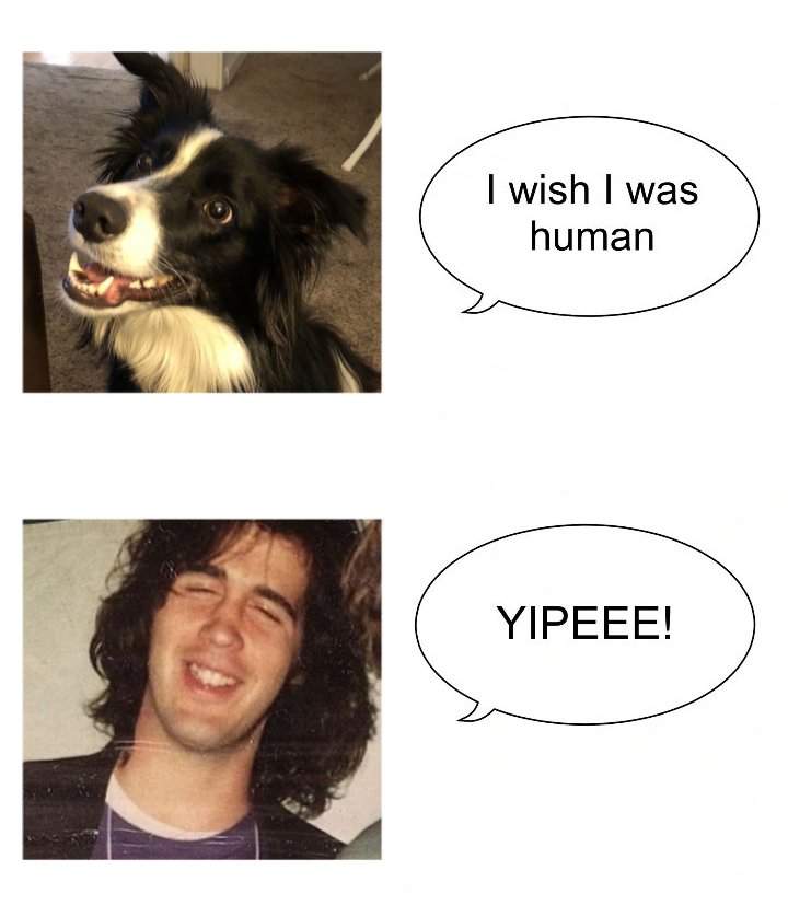 Krist Novoselic's Bass 📼⚾ tweet media