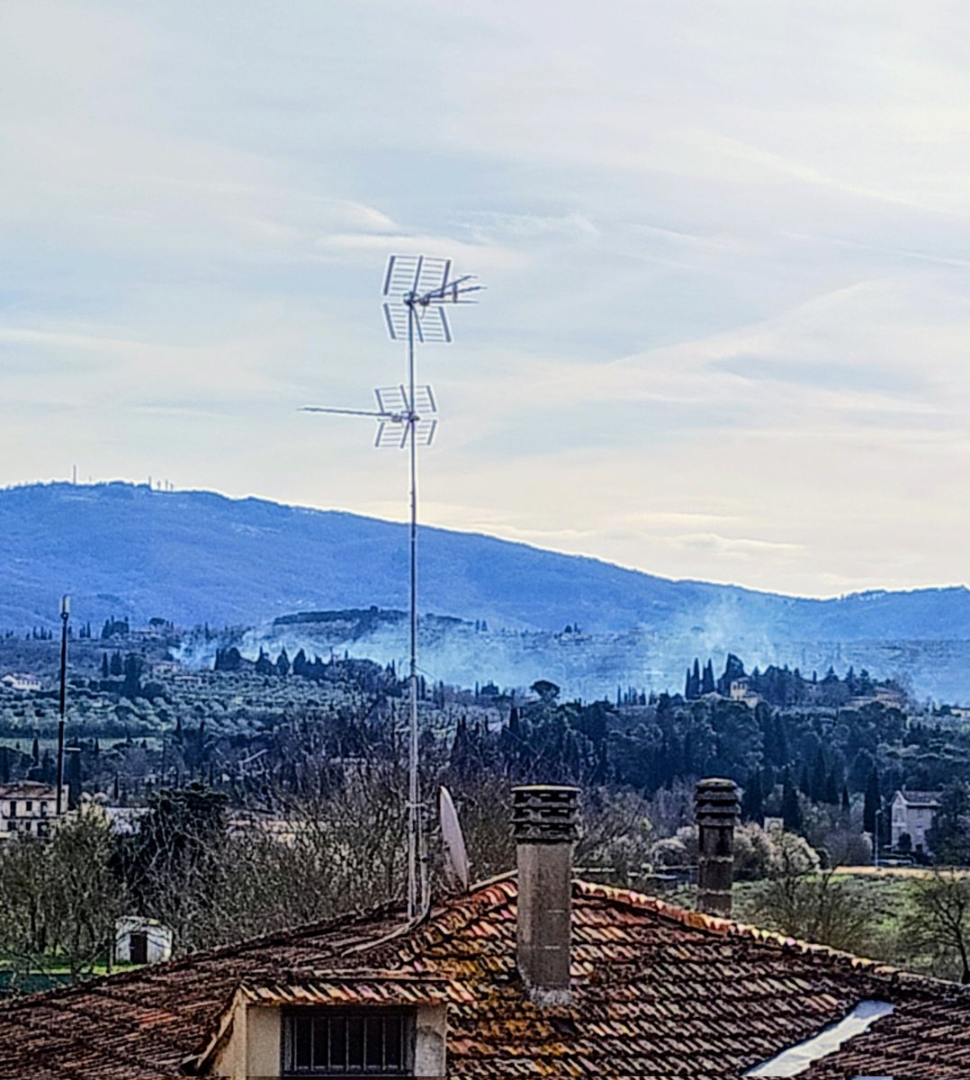 Francesca Coli tweet media